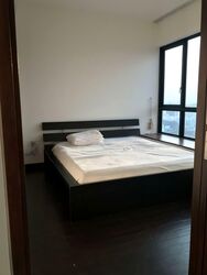 Spottiswoode Residences (D2), Condominium #555604421
